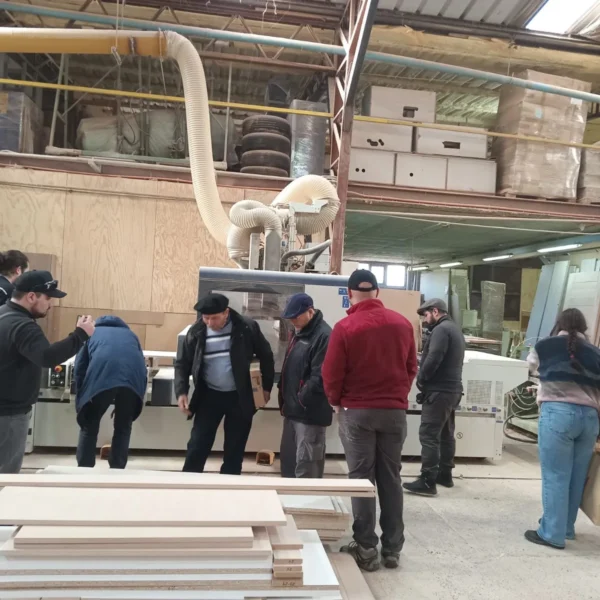 Tecnología para Aserraderos: Gira Innovadora en Aysén