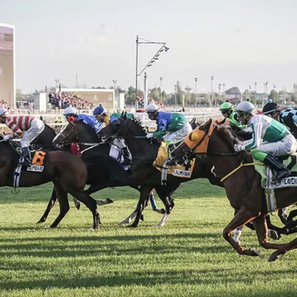 Medicamento Peligroso para Caballos: Casos y Consecuencias