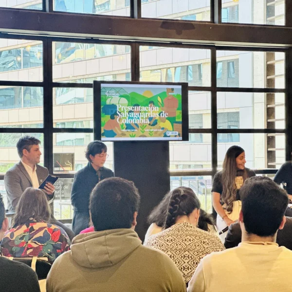 Salvaguardas socioambientales para la TEJ: derechos humanos