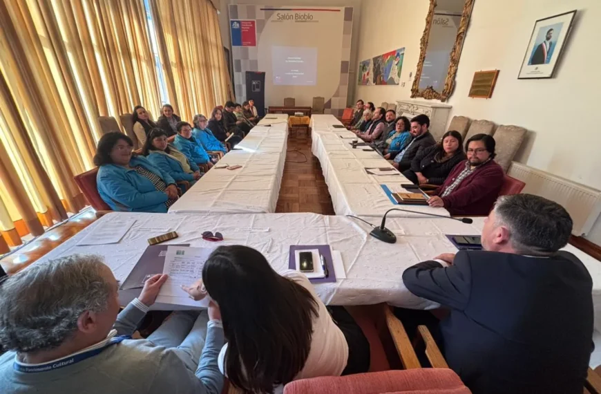 Consejo de la Sociedad Civil Biobío: Un Hito Cultural