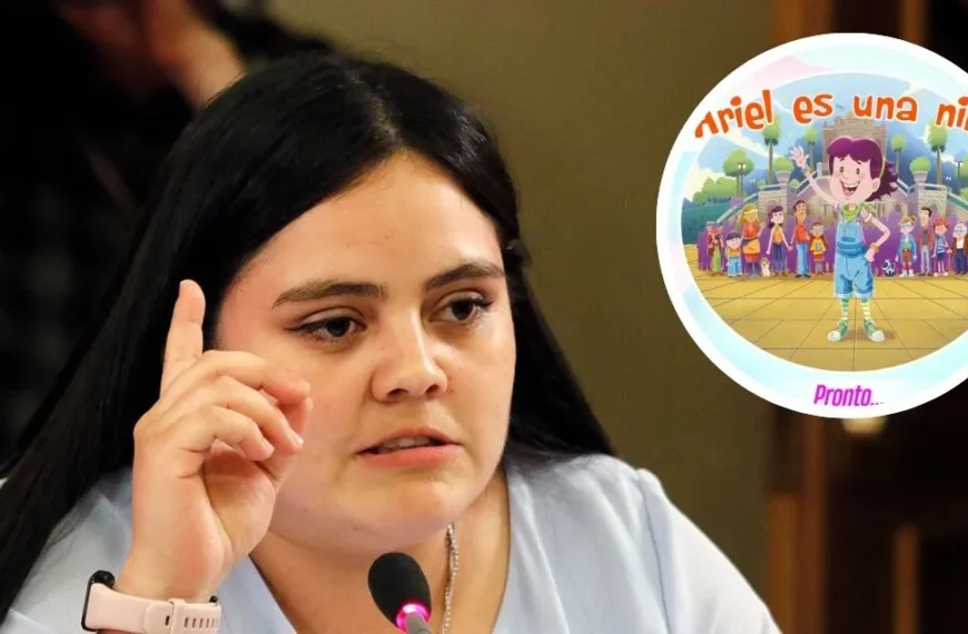 Ariel es una niña: Críticas al libro infantil polémico