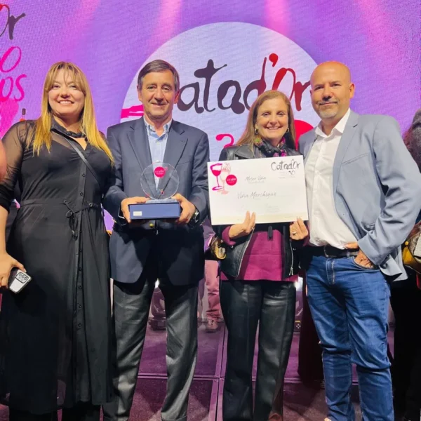 Viña Marchigüe: Mejores Vinos en Catador 2025
