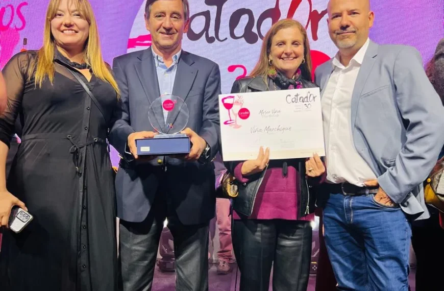 Viña Marchigüe: Mejores Vinos en Catador 2025