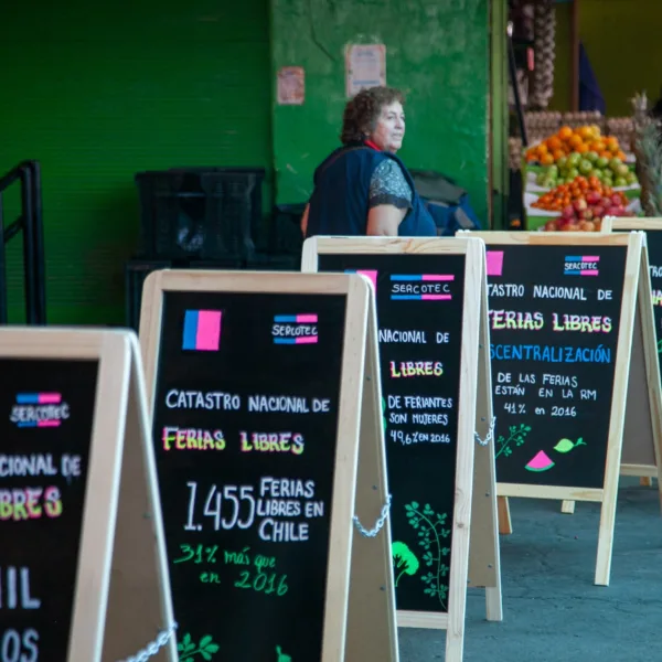 Ferias Libres en Chile: Crecimiento y Liderazgo Femenino