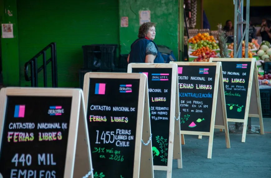 Ferias Libres en Chile: Crecimiento y Liderazgo Femenino