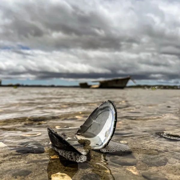 Concurso de fotografía marítima en el Museo Marítimo