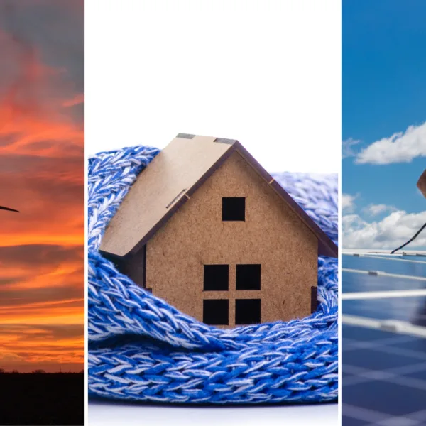 Calefacción Limpia Aysén: Seminario sobre Energía y Salud