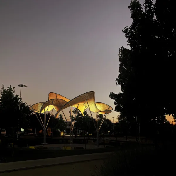 Niebla de Chimbarongo: El proyecto que transforma el diseño patrimonial