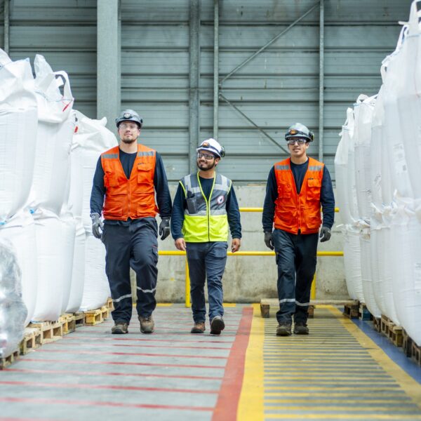 Tecnología en salmonicultura: Avances que transforman la industria