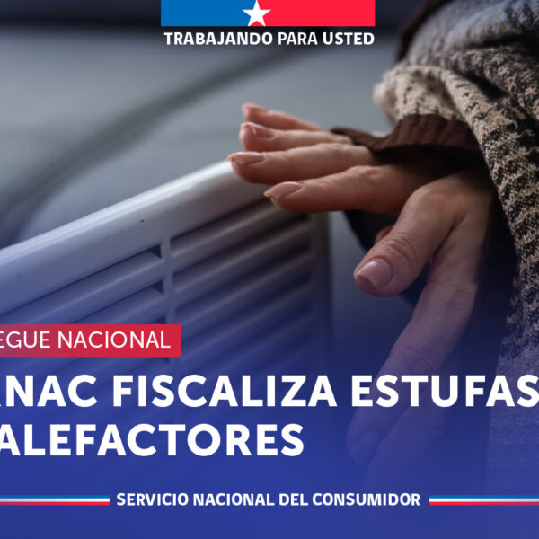 Fiscalización de Estufas: ¿Cómo se Controla la Seguridad en Invierno?