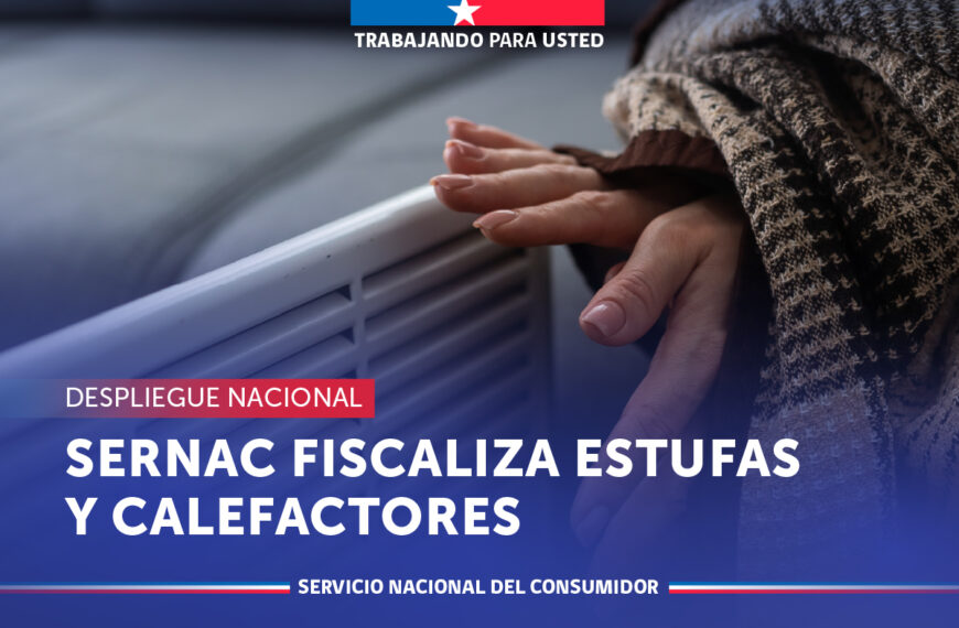 Fiscalización de Estufas: ¿Cómo se Controla la Seguridad en Invierno?