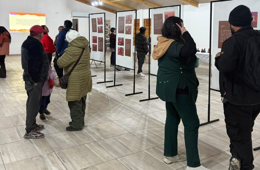 Revitalización lengua Ckunsa: Un viaje comunitario en arte