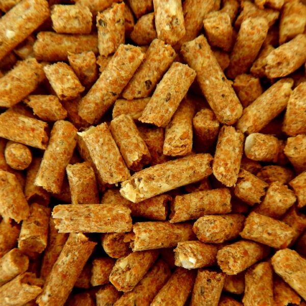 Falta de pellet: La pregunta detrás de la escasez invernal