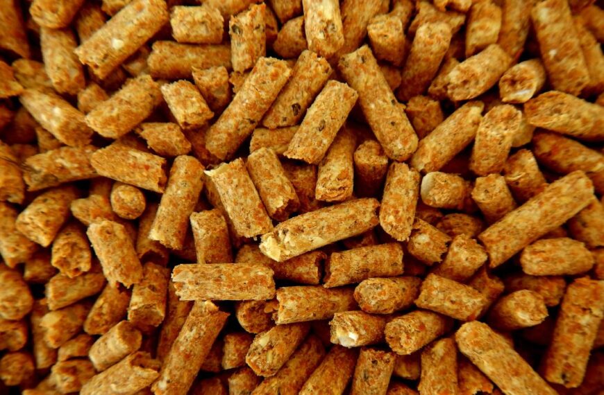 Falta de pellet: La pregunta detrás de la escasez invernal