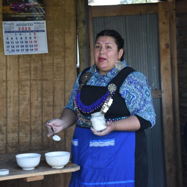 Cultura Mapuche: Un Encuentro Intercultural en Cartagena