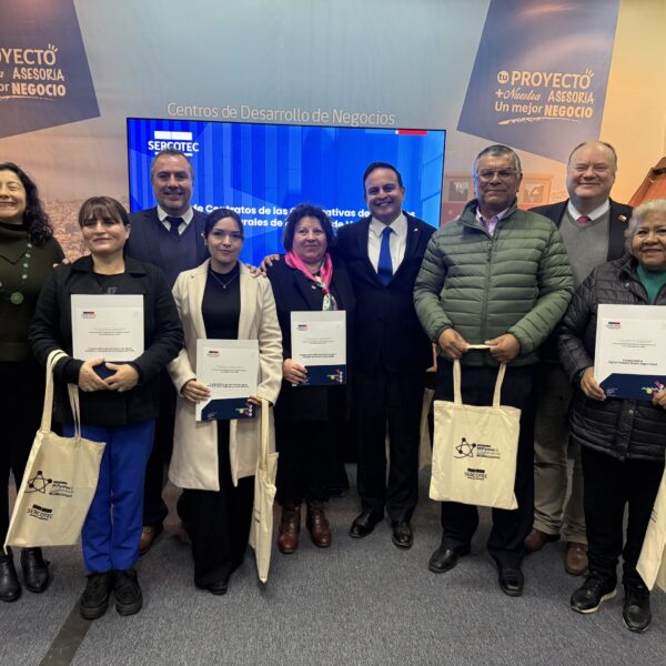Proyectos Fotovoltaicos: Transformando Cooperativas Rurales en Chile