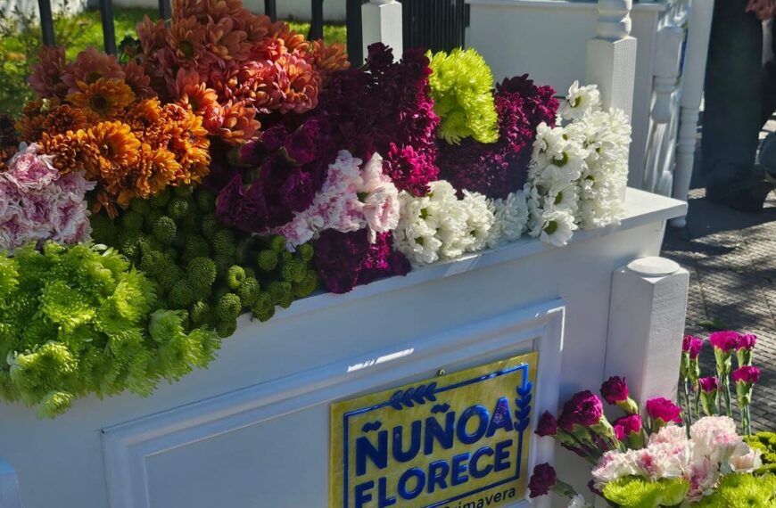 Florece tu fachada: descubre el concurso que transforma Ñuñoa