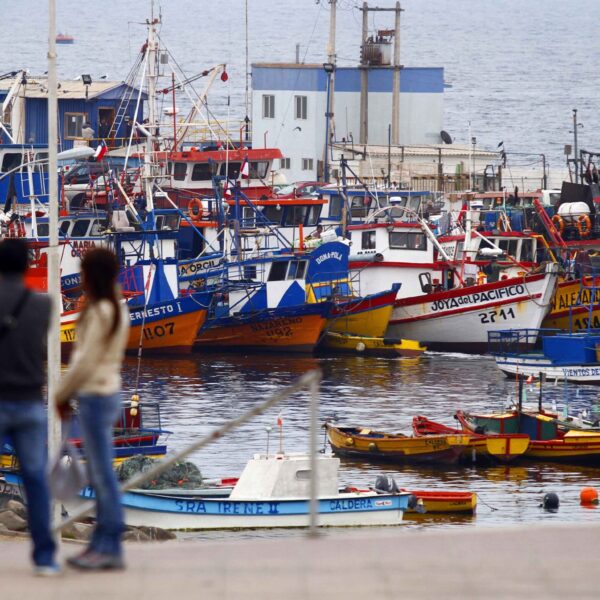 Exportaciones pesqueras: ¿qué indican los últimos informes sobre el sector?