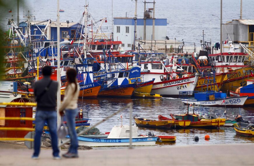 Exportaciones pesqueras: ¿qué indican los últimos informes sobre el sector?