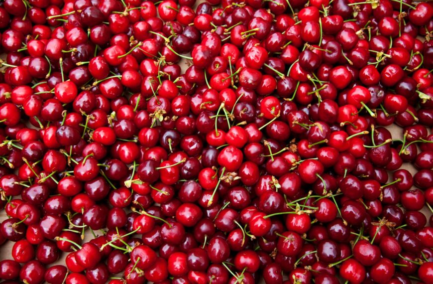 Logística de Exportación de Cerezas: Claves para la Temporada 2026-2027